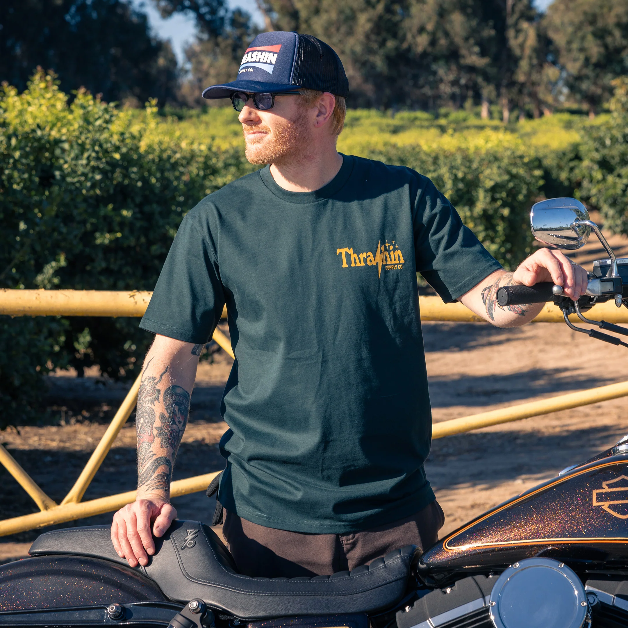 Thumbnail 6
